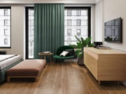 千年舟LSB高能家居板,无醛环保缔造健康安全的现代家居生活